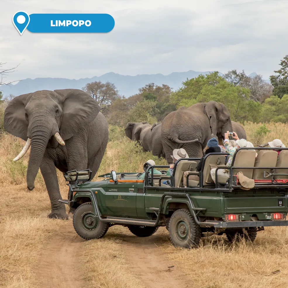 2-Night Luxury Safari Stay (All-Meals Included) for 2 People Sharing