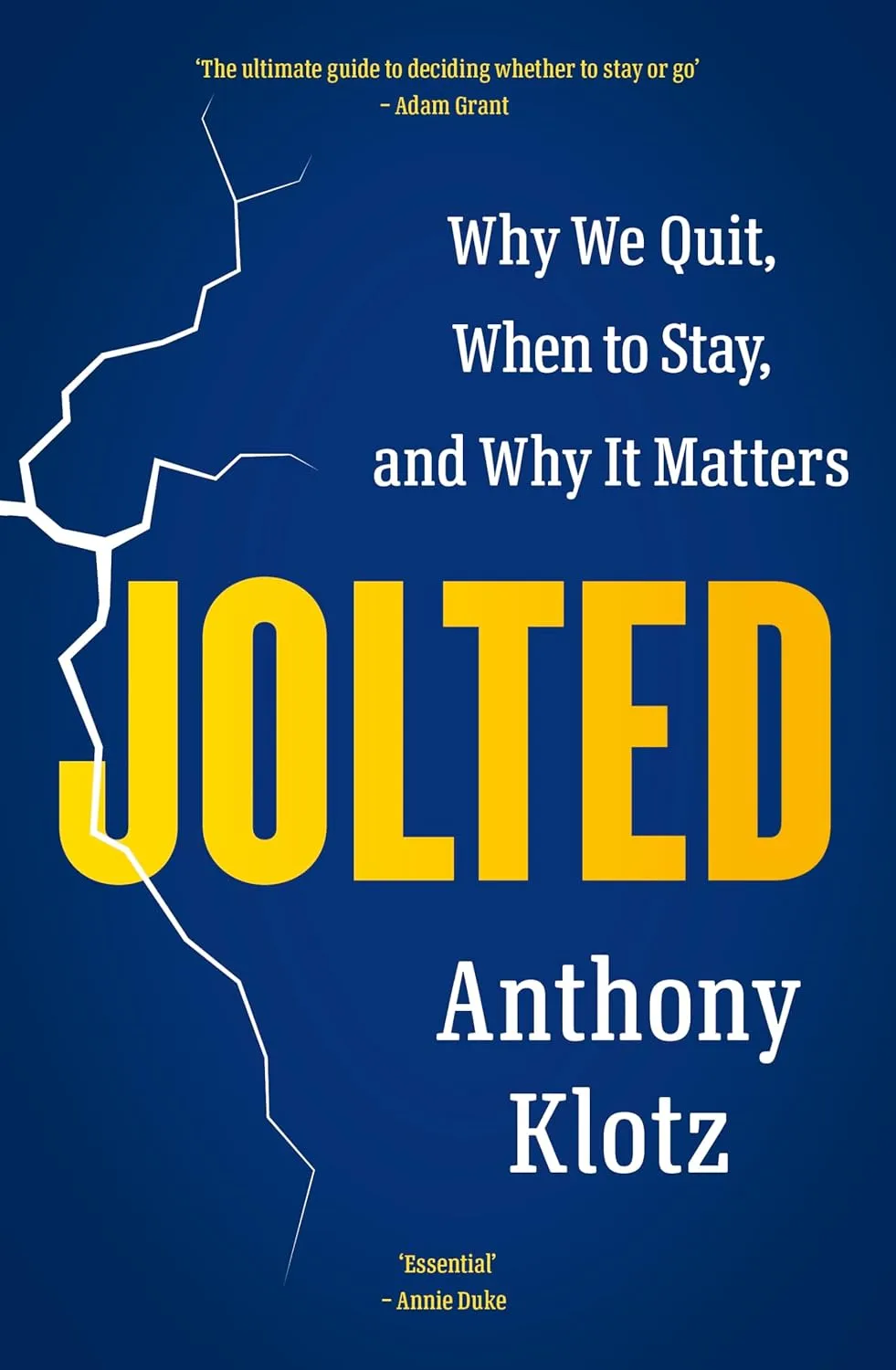 Jolted: Why We Quit, When to Stay, and Why It Matters (Paperback)