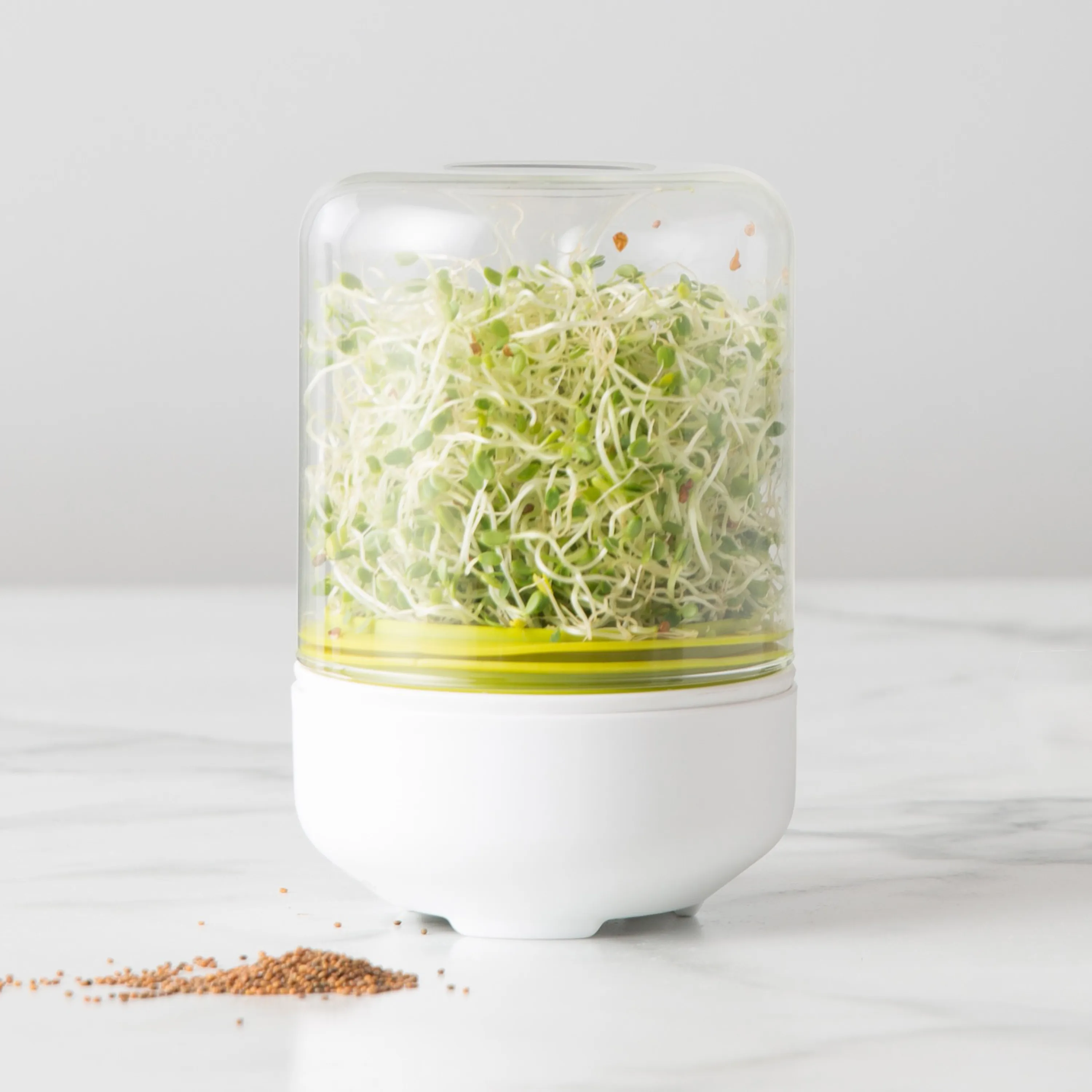 Chef'n Countertop Sprouter Growing Kit