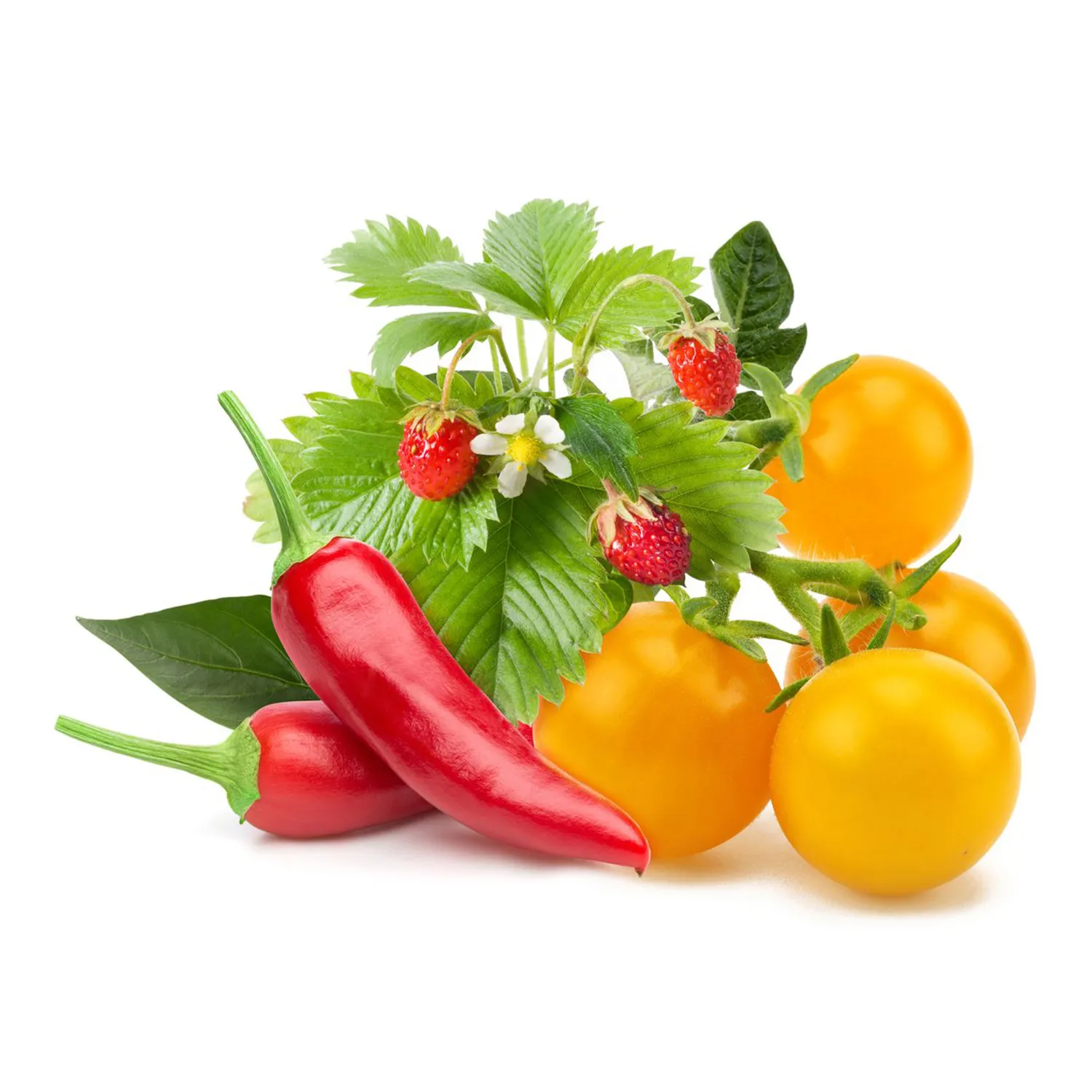 Click & Grow Fruit & Veggie Mix Soil & Seed Pods, Pack of 9