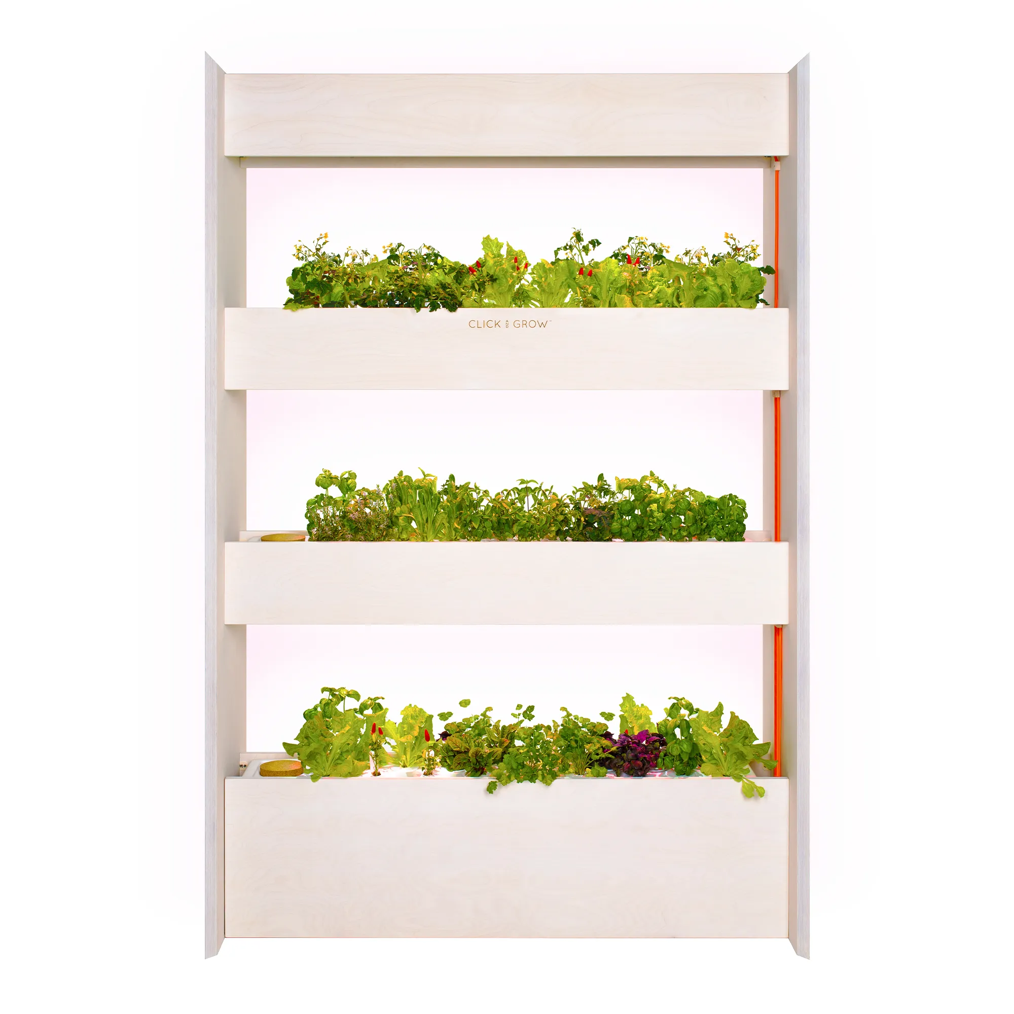 Click & Grow Wall Farm