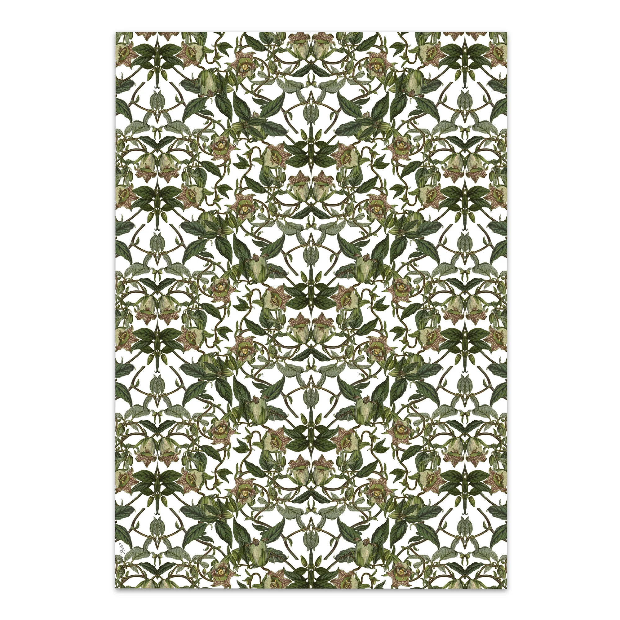 Hendrik Willem White Botanicals Wrapping Paper