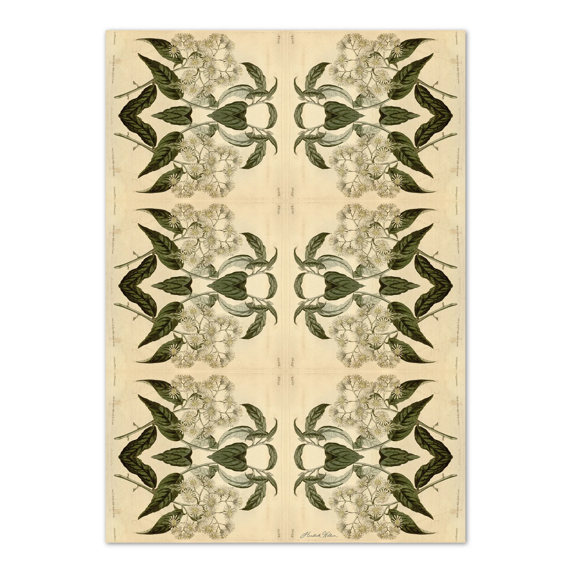 Hendrik Willem Cream Botanicals Wrapping Paper