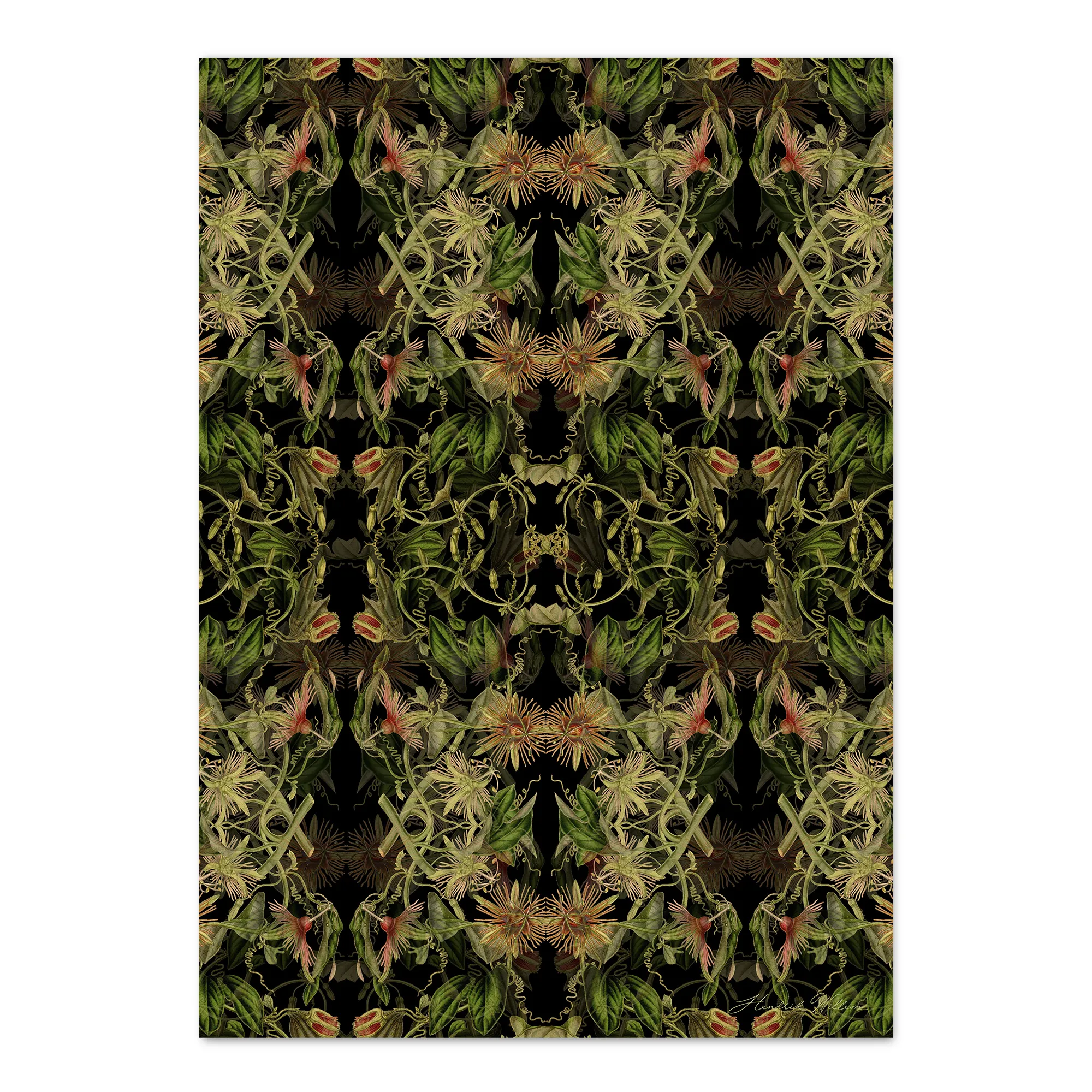 Hendrik Willem Black Botanicals Wrapping Paper