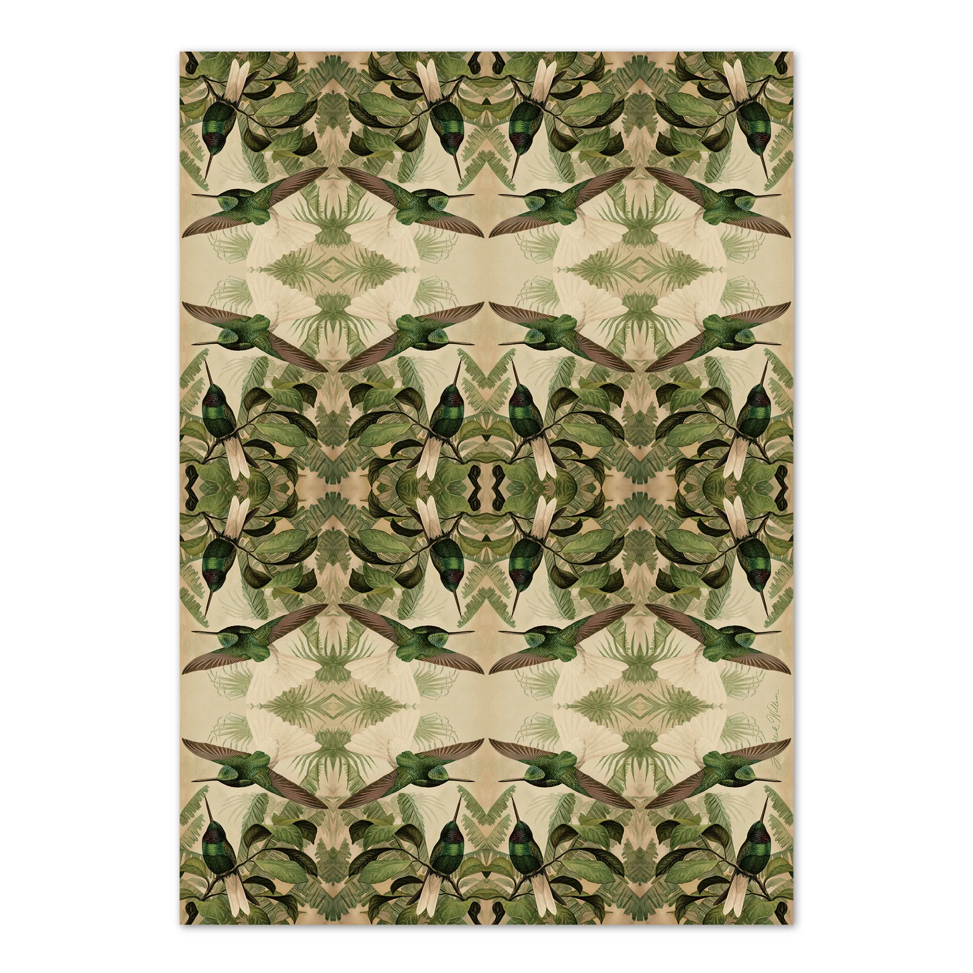 Hendrik Willem Suikerbekkie Wrapping Paper