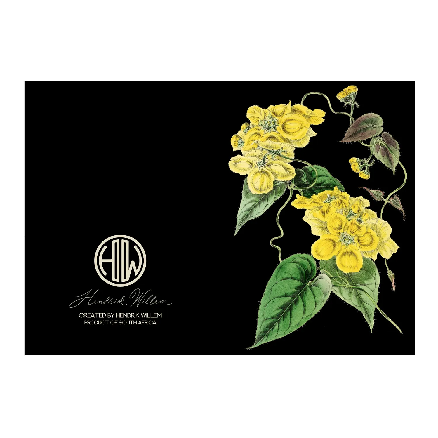 Hendrik Willem Black Collection Cards, Set of 10
