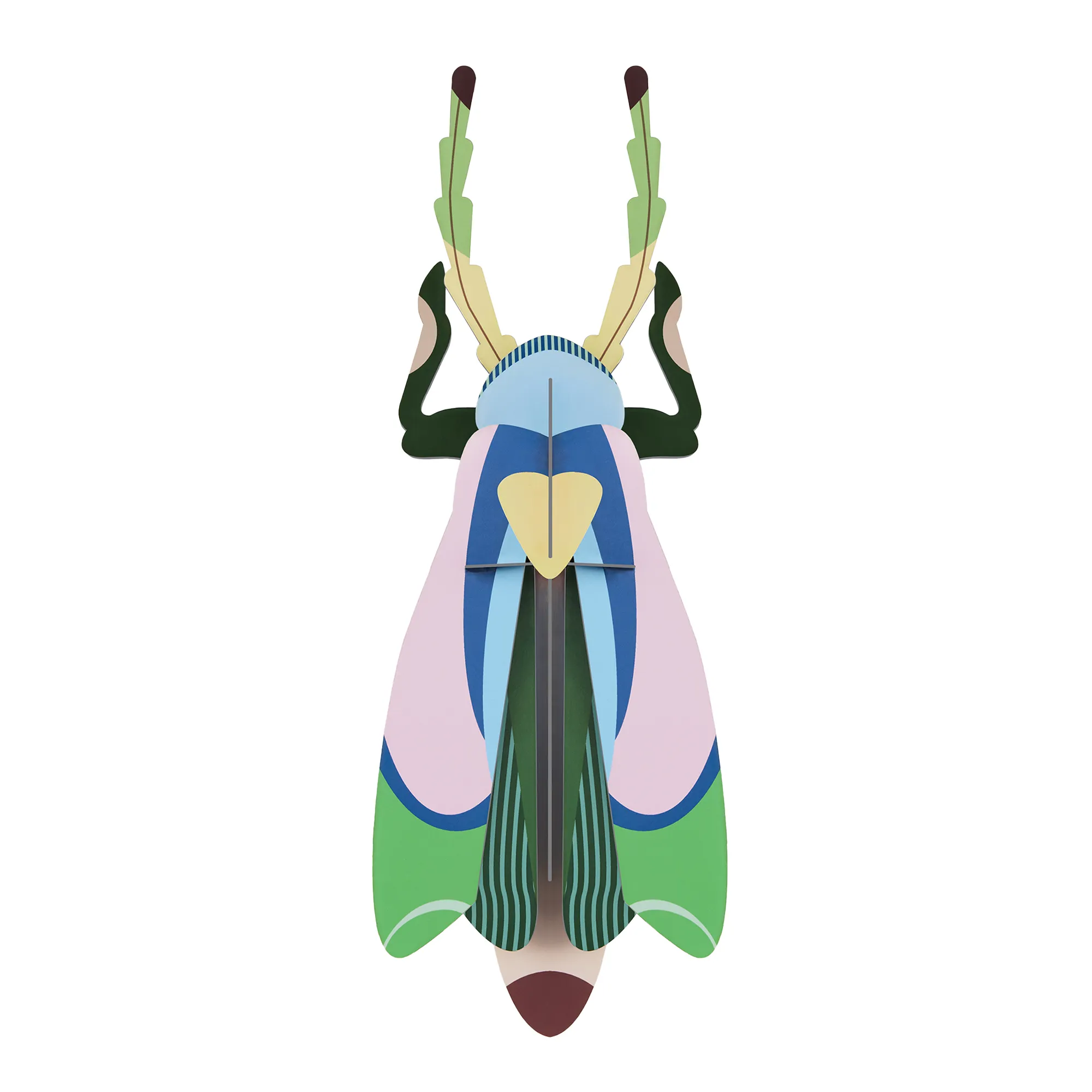 Studio ROOF Big Insects Sakura Beetle Paper Wall Art