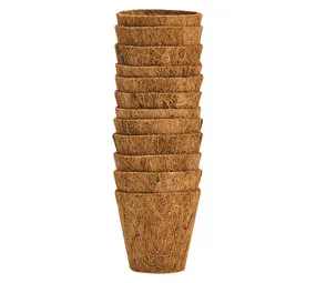 Flora Select 6cm Fibre Pots Round 12 Pack 70 x 70 x 190 mm