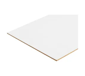 Masonite Standard White 2440 x 1220 x 3.2 mm
