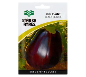 Starke Ayres Egg Plant Seeds Polypack