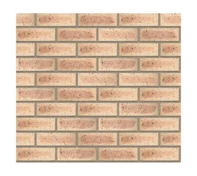 Corobrik Golden Wheat Travertine Face Brick (FBX Grade) 222 x 106 x 73 mm Premium High-Uniformity C…