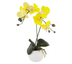 Flora Select 2 Stalk Artificial Orchid Yellow