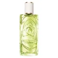 Lancome Ff Now EDT 100ml