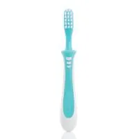 Pigeon Training Toothbrush Step