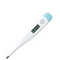 Z/thermometer Digital Oral
