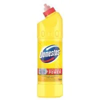 Domestos 750ml