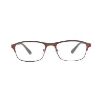 Reading Glasses Matt Red Frame