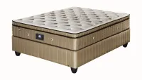 Sealy Tahiti 152cm (Queen) Firm Base Set Standard Length