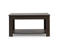 Steel & Rose Carter Coffee Table, Brown