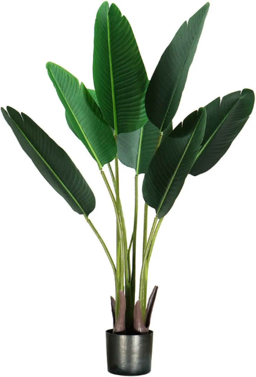 HouzeComfort Strelizia (Bird of Paradise) Artificial Plant  with Pot