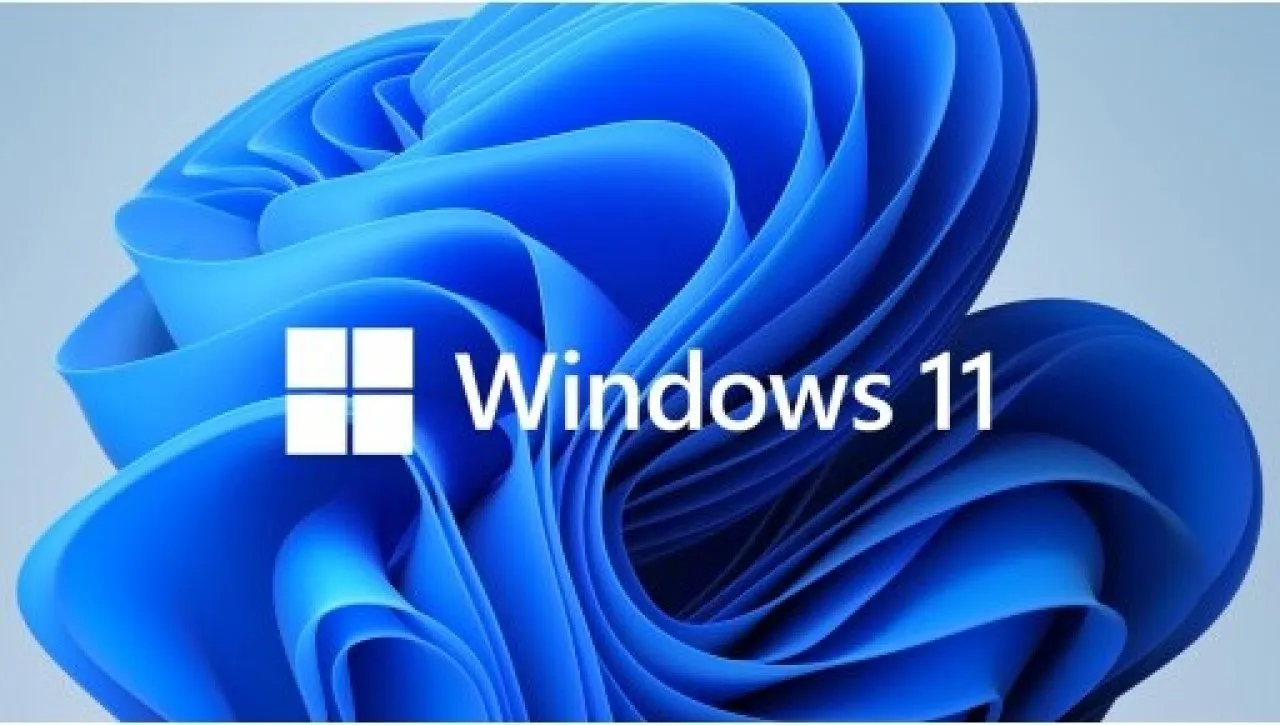 Microsoft Windows 11 Professional (2 Users) - Bundle Deal!!