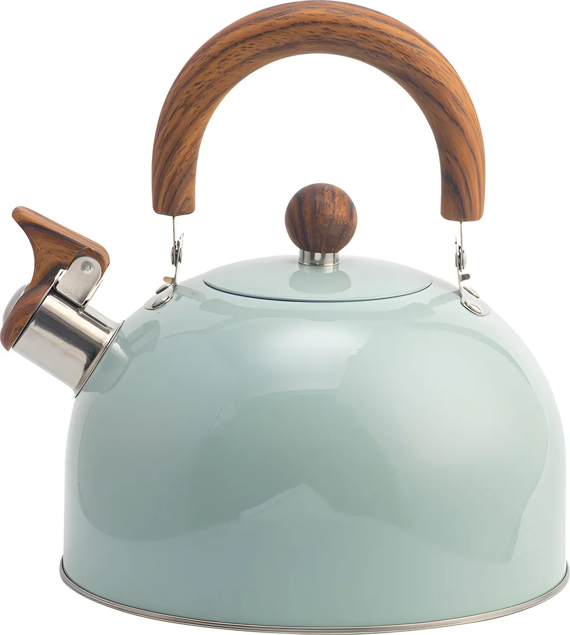 MUST Tea Kettle Multi Cooker Electric Kettle
