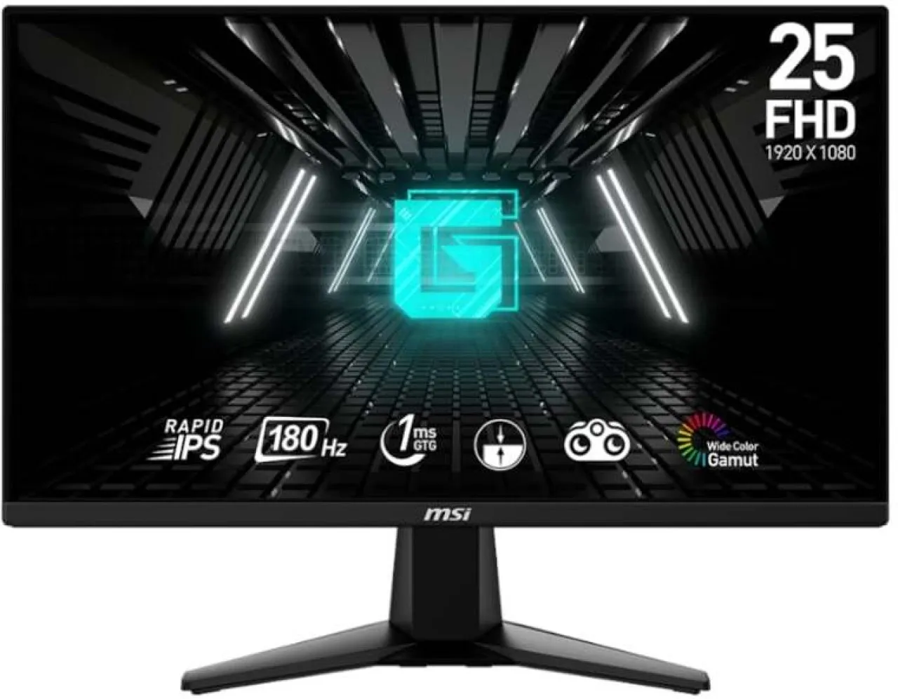 MSI 25 inch Full HD IPS Panel Monitor (G255F 25" Gaming Monitor)