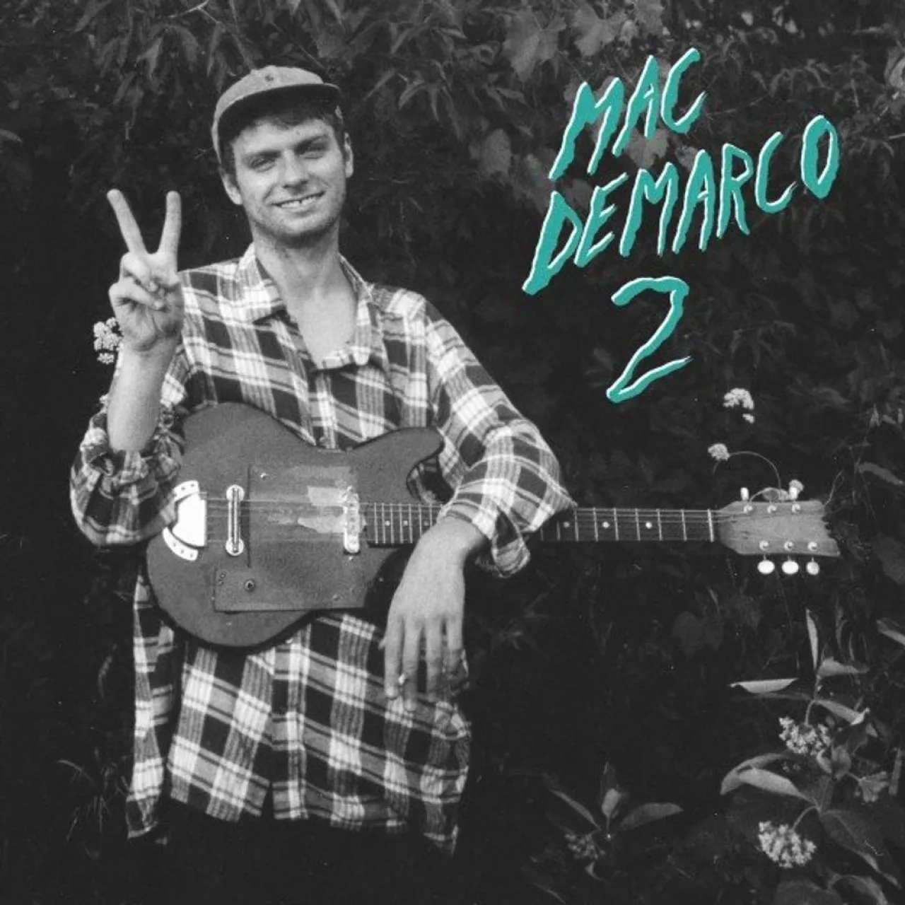 Mac DeMarco - 2 Reissue Vinyl Album Rock