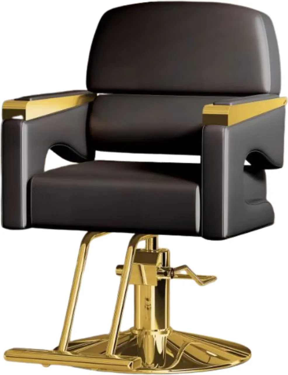 ANKA Hair Salon Chair, Barber Chair with Heavy Duty Hydraulic Pump, Height Adjustable, 360° Swivel …