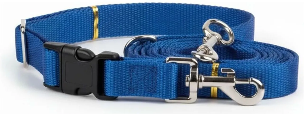 Pet Mall Dog Collar and Lead Set Adjustable for Comfort and Control Dog Collar & Leash