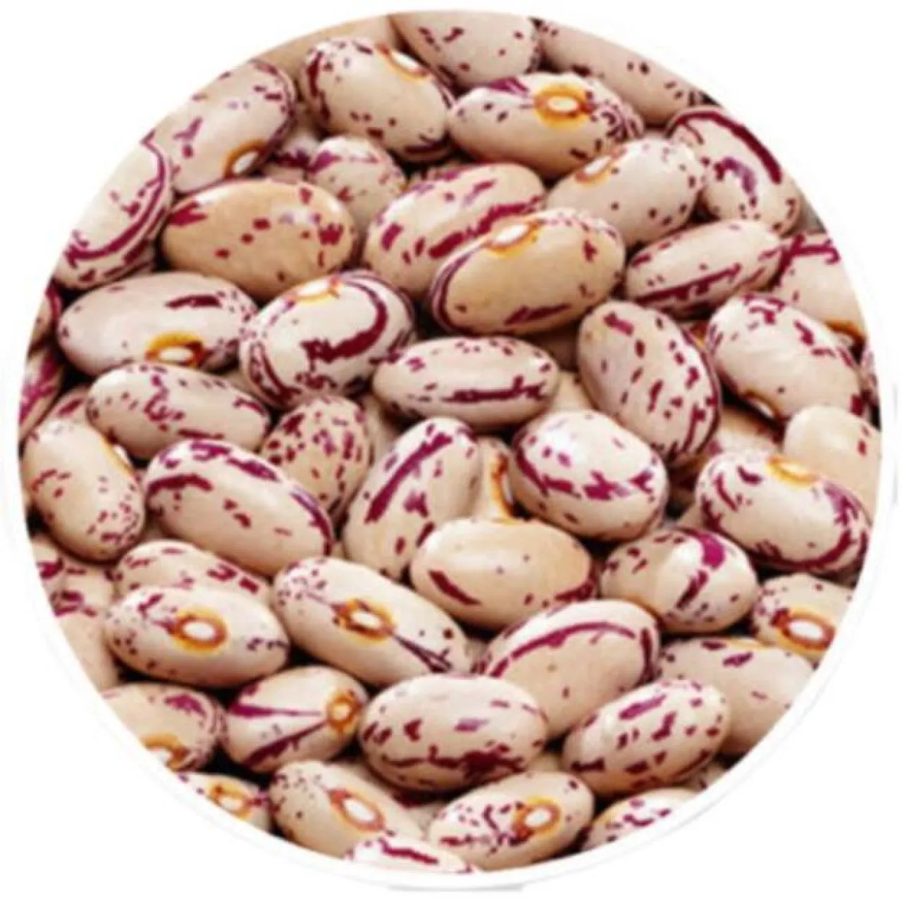 SPICE N MORE Organic Sugar Beans (Whole)