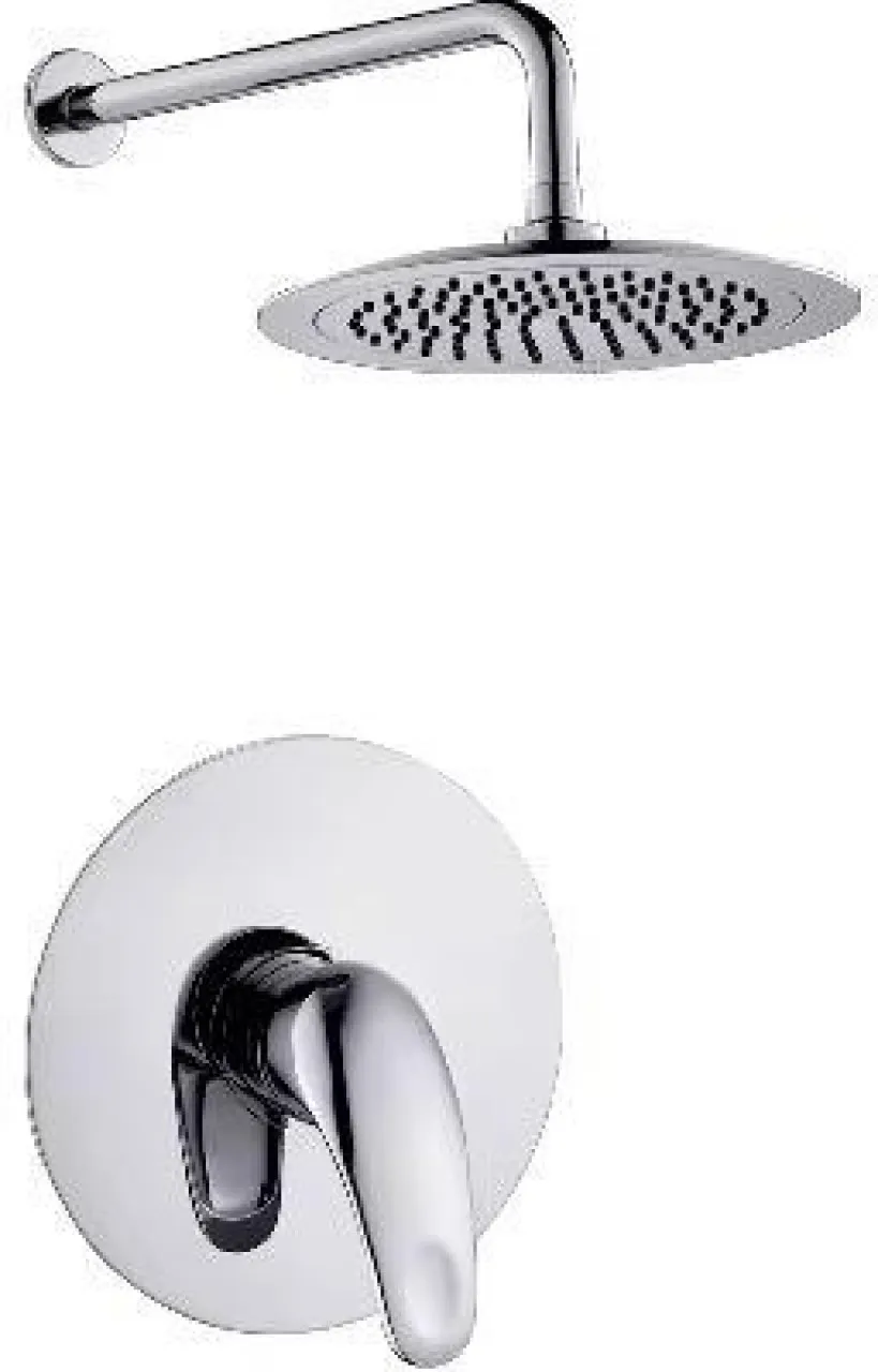 AA Handheld Shower Head