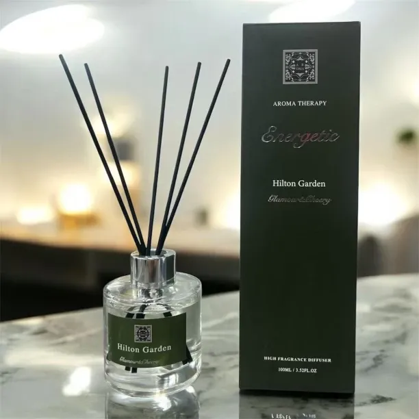 Aroma Therapy Diffuser Portable Car Dehumidifier