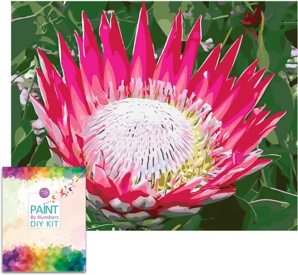 Easy Craft Paint by Number DIY Kit, 50x40cm Craft Kits Art and Craft Kit