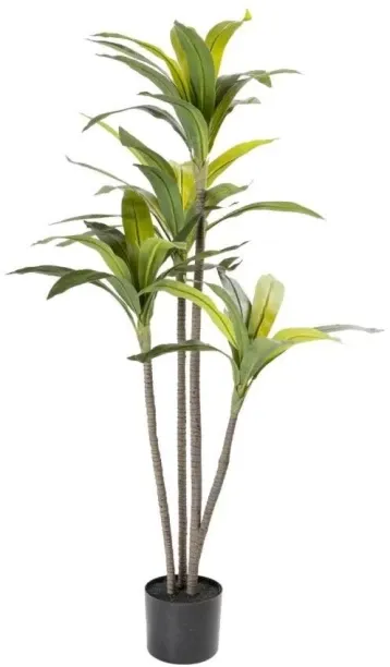 VIVIDITTO Bonsai Dracaena Artificial Plant  with Pot