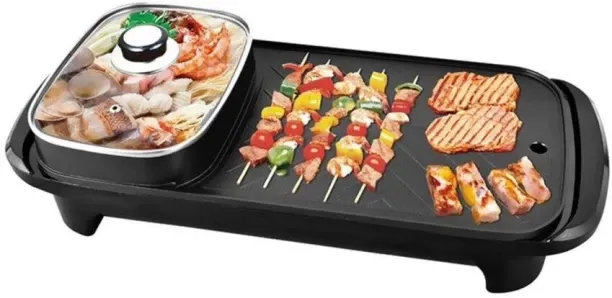 Olga 1 Electric Braai