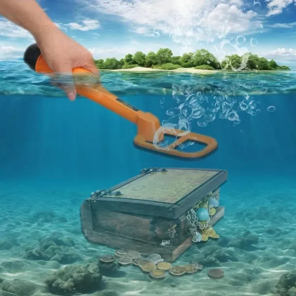 Flycross Underwater metal detector Time & Attendance