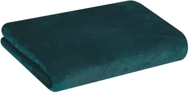 Design House (127 cm x 152 cm) Plush Coral Flannel (Throw)