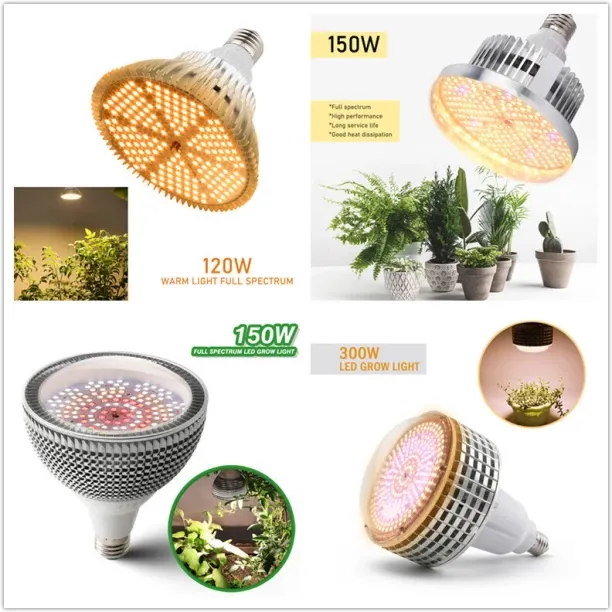 MAX 0 W Arbitrary LED Bulb