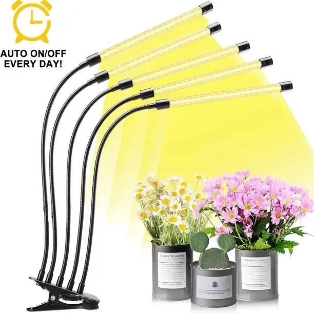 MAX 0 W Arbitrary LED Bulb