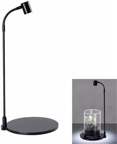 MAX 0 W Arbitrary LED Bulb