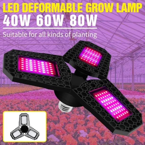 MAX 0 W Arbitrary LED Bulb
