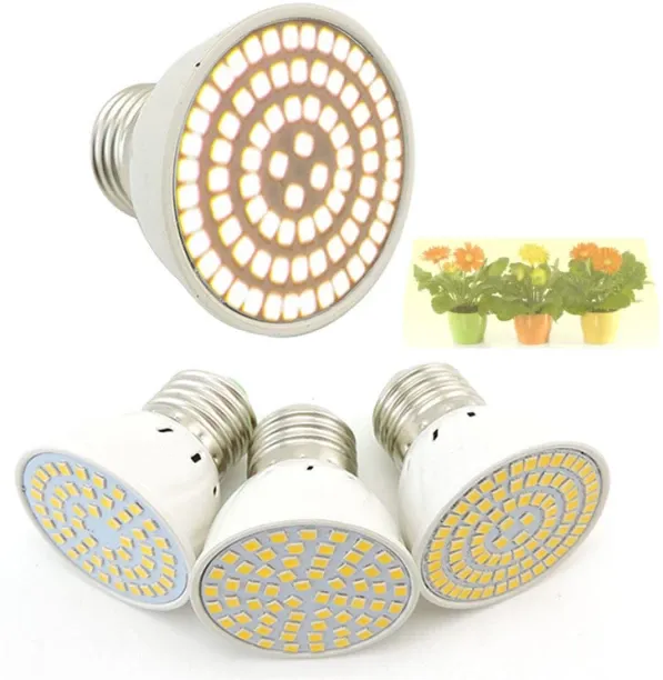 MAX 0 W Arbitrary LED Bulb