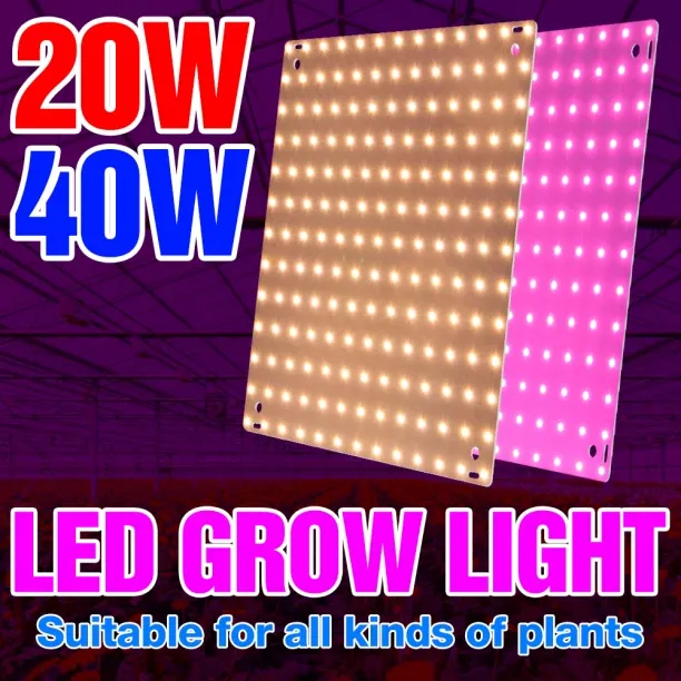 MAX 0 W Arbitrary LED Bulb