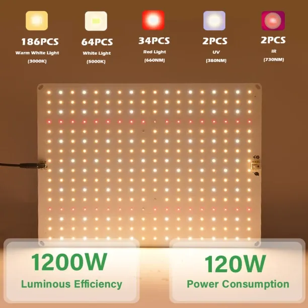 MAX 0 W Arbitrary LED Bulb