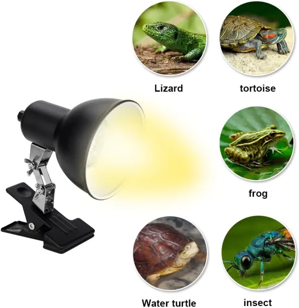 MAX 0 W Arbitrary LED Bulb