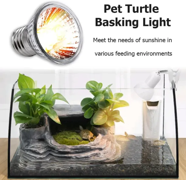 MAX 0 W Arbitrary LED Bulb