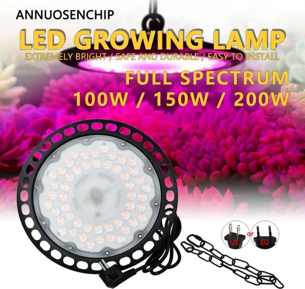 MAX 0 W Arbitrary LED Bulb