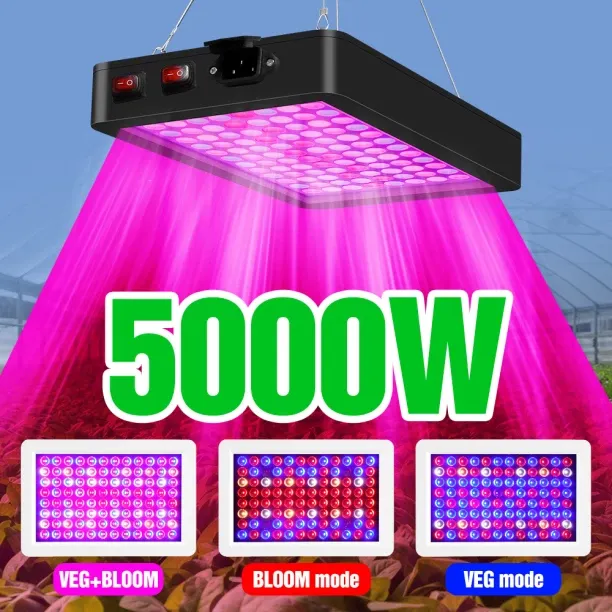 MAX 0 W Arbitrary LED Bulb