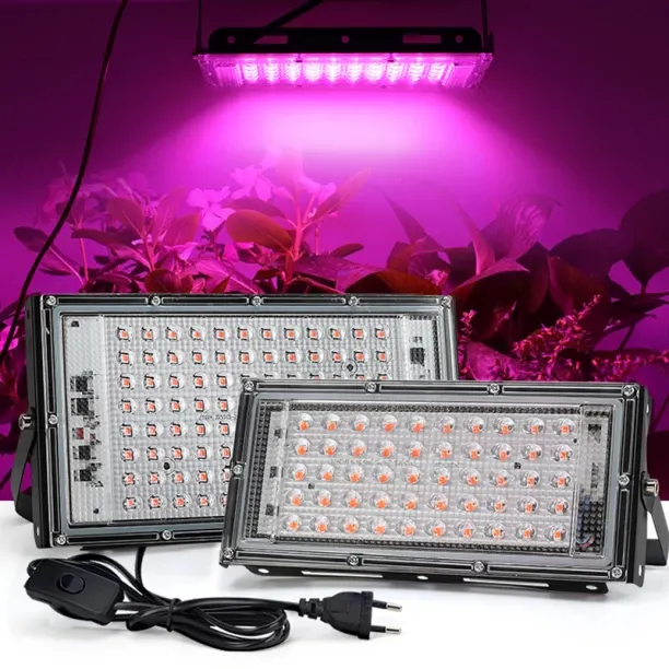 MAX 0 W Arbitrary LED Bulb
